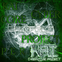 Download: PERFECT / 2009